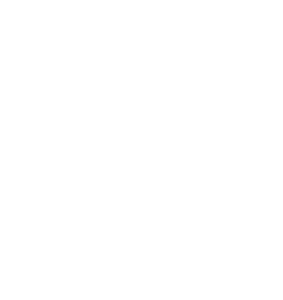 logo Rimini Blue Lab