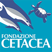 ideato da Fondazione Cetacea Onlus